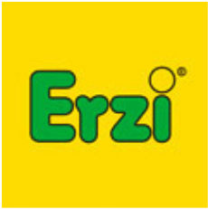 logo_erzi_color
